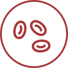 Blood Cell