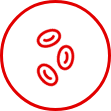 Blood Cell Icon