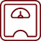 Scale Icon